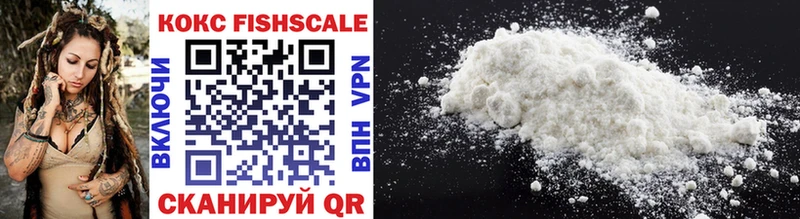 COCAIN Fish Scale  сколько стоит  KRAKEN сайт  Сураж 