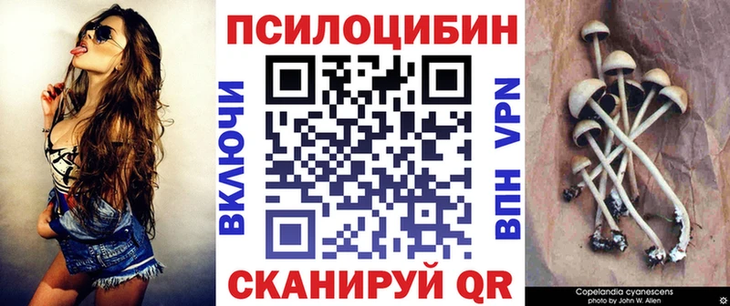 Галлюциногенные грибы Psilocybine cubensis маркетплейс состав Сураж